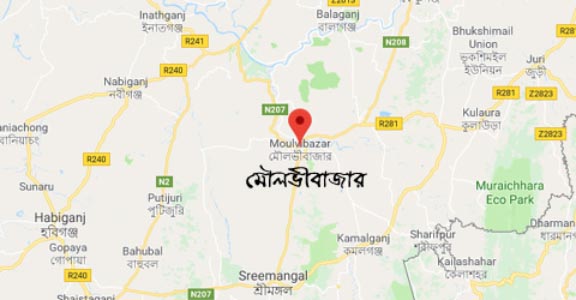 নির্জন বাগানে দুই নারী যাত্রীকে গণধর্ষণ: আটক ৭, তিন সিএনজি জব্দ