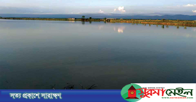 কানাইঘাটে সিলেটের সর্ববৃহৎ মৎস্য খামার গড়ে তোললেন প্রবাসী