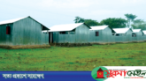 গৃহহীনদের বরণ করতে বিশ্বনাথে প্রস্তুত ‘পুষণী গুচ্ছগ্রাম’
