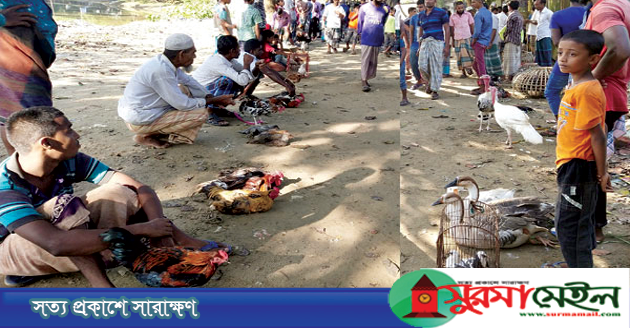 সিলেটে শত বছরের প্রাচীন হাঁস-মুরগীর হাট