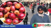 চীন থেকে ১১ কেজি পেঁয়াজ এনে মা-বাবাকে উপহার দিলেন মেয়ে