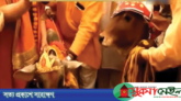 এবার মোরাদাবাদে সাত পাকে গরু-বলদের বিয়ে