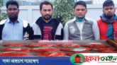 ইলিশভর্তি বাক্সে ১১ হাজার ইয়াবা, ৪ কারবারী আটক