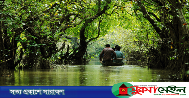 রাতারগুলে প্রবেশ, ভিডিও ধারণ ও নৌকা ভ্রমণে দিতে হবে ফি
