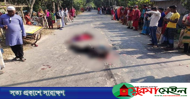 ভাঙ্গুড়ায় ট্রাকচাপায় ভ্যানের দু’ভাইসহ ৩ যাত্রী নিহত