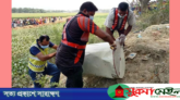 ড্রামের ভেতর মিলল তরুণীর লাশ