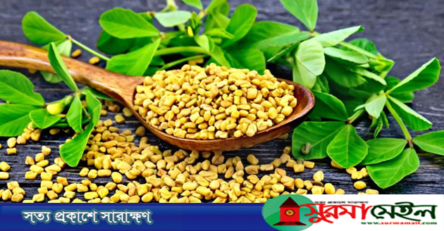 যে উপায়ে মেথি ব্যবহারে দূর হবে ত্বকের দাগ