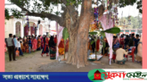 ধুমধামে দুই গাছে বিয়ে!