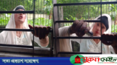 হিজড়াদের চাঁদাবাজিতে অতিষ্ট বালুচরবাসী!