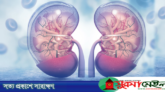 কিডনির সুরক্ষায় কী খাবেন?