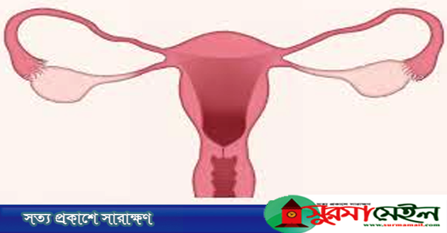 নিয়মিত ঋতুস্রাব হচ্ছে না, তবে কি..?