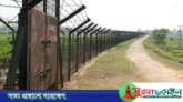 তাহিরপুর সীমান্ত দিয়ে কয়লা আনতে প্রাণ গেলো কিশোরের
