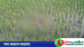 ছাতকে নিখোঁজ শিশুর মাথা বিহীন বিবস্ত্র লাশ উদ্ধার