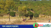 তাহিরপুর সীমান্ত দিয়ে কয়লা আনতে গিয়ে বাংলাদেশী তরুণের মৃত্যু