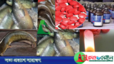 ছাতক-দোয়ারাবাজার সীমান্ত: আসছে মাদক যাচ্ছে দেশি মাছ!