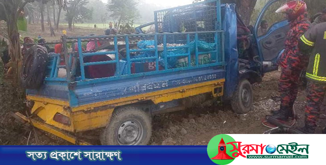 ছাতকে নিয়ন্ত্রণ হারিয়ে গাছের সঙ্গে পিকআপের ধাক্কা, নিহত ৩