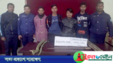 ঠাকুরগাঁওয়ে প্রস্তুতিকালে ডাকাত দলের ৪ সদস্য গ্রেফতার