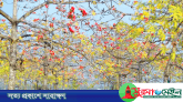 বসন্তে ভালোবাসা