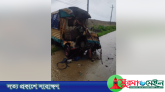 ডিসেম্বরে সিলেটের সড়কে ঝরল ৩৮ জনের প্রাণ