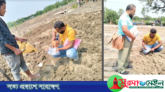 সোনার খনি খ্যাত সেই ইটভাটায় ভূতত্ত্ব অধিদপ্তরের অনুসন্ধান