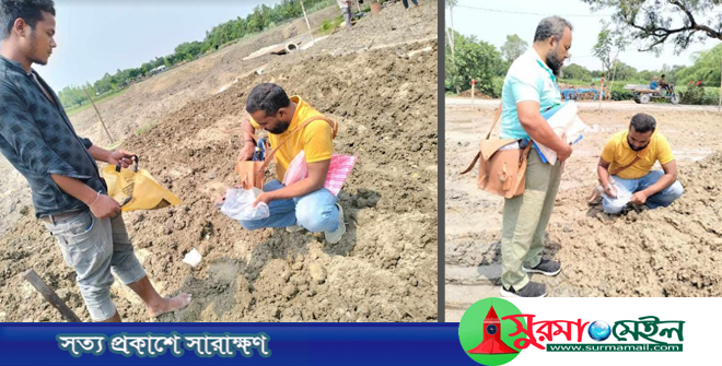 সোনার খনি খ্যাত সেই ইটভাটায় ভূতত্ত্ব অধিদপ্তরের অনুসন্ধান