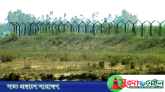 ঠাকুরগাঁওয়ে বিএসএফের গুলিতে বাংলাদেশি যুবক নিহত