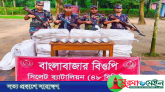 ভারতে পাচারকালে সীমান্তে ইলিশের চালান জব্দ