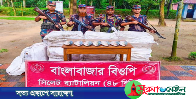 ভারতে পাচারকালে সীমান্তে ইলিশের চালান জব্দ