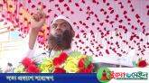 হাসিনার প্রেতাত্মাদের থেকে নিরাপদ ভাবলে চলবে না: মামুনুল হক