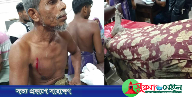 চোরের নিউজ করায় সাংবাদিকের বাড়ীতে হামলা-লুটপাট, আহত ৩