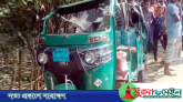 সুনামগঞ্জে ট্রাক-সিএনজি সংঘর্ষে বৃদ্ধা নিহত, আহত ৩