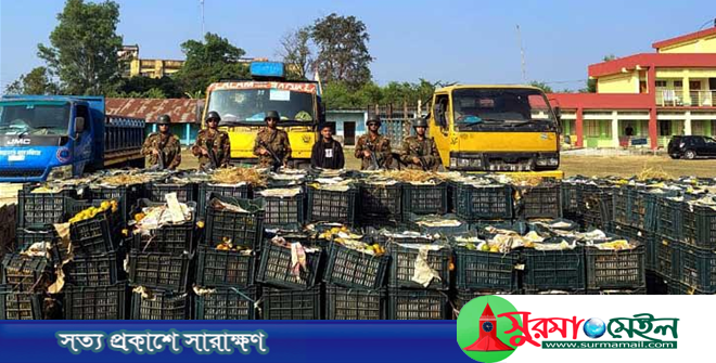 দোয়ারাবাজারে সেনাবাহিনীর অভিযানে ৮০ লাখ টাকার ভারতীয় মালামাল জব্দ