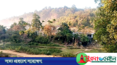 গোয়াইনঘাট সীমান্ত থেকে ১৩ বাংলাদেশিকে ধরে নিয়ে গেছে বিএসএফ