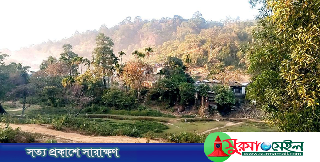 গোয়াইনঘাট সীমান্ত থেকে ১৩ বাংলাদেশিকে ধরে নিয়ে গেছে বিএসএফ