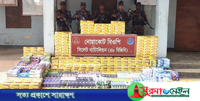 সীমান্তে ফের কসমেটিকস ও ফলের চালানসহ ২ কোটি টাকার মালামাল জব্দ