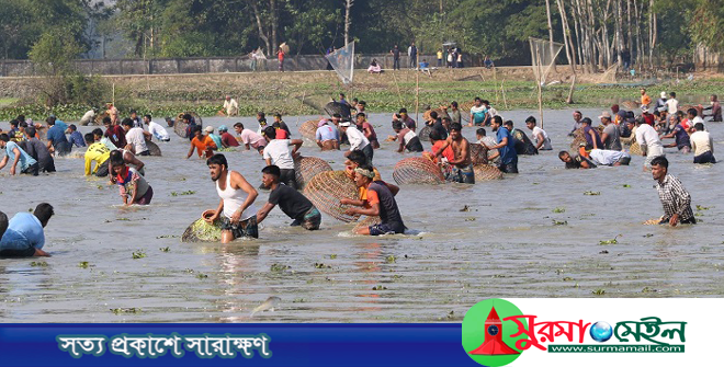 বিশ্বনাথে ঐতিহ্যবাহী পলো বাওয়া উৎসব