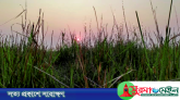নতুন ইতিহাস রেখে গেছে ২০২৪, স্বাগত ২০২৫