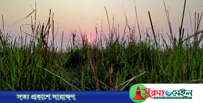 নতুন ইতিহাস রেখে গেছে ২০২৪, স্বাগত ২০২৫