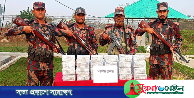 ভারতে উৎপাদিত ইনজেকশনসহ ১ কোটি ৭৩ লাখ টাকার মালামাল জব্দ