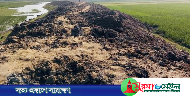 ফসল রক্ষা বাঁধ নির্মাণে অনিয়ম-দুর্নীতি: ইউএনওসহ ১৬ জনের নামে মামলা