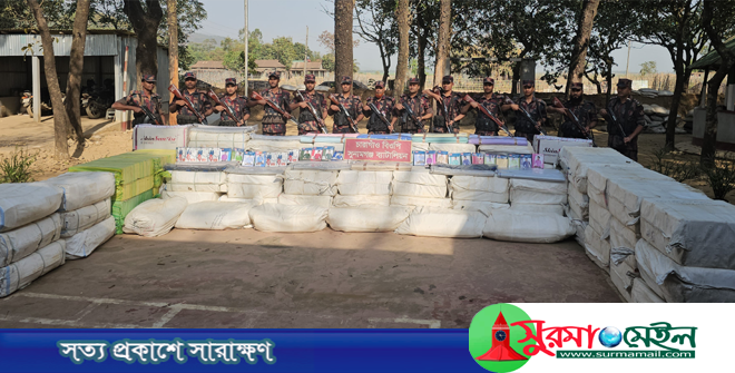 সীমান্তের জঙ্গলবাড়িতে দুই কোটি টাকার ভারতীয় কাপড়ের চালান জব্দ