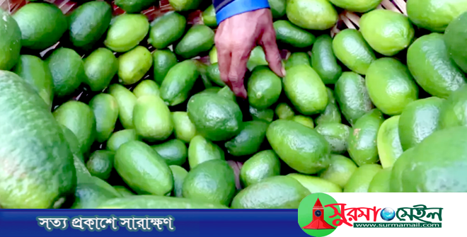 সিলেটে লেবুর হালি ১২০ টাকা! চড়া মাংস ও সবজি বাজার