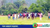 সিলেট সীমান্তে স্থানীয়দের তোপের মুখে পিছু হাটলো ভারতীয় বিএসএফ