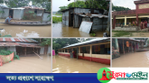 নবীগঞ্জে ভয়াবহ আকার ধারন করছে বন্যা পরিস্থিতি, কয়েকটি গ্রাম প্লাবিত