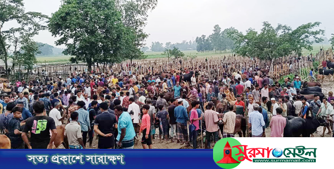 নবীগঞ্জে ম্যাজিস্ট্রেটের ওপর হামলার ৪ দিন, গ্রেফতার নেই
