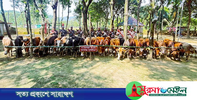 গরু চোরাকারবারিদের গুলিতে আহত বিজিবি নায়েক