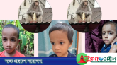সিলেটে শিশুদের ওপর বানরের হামলা, আতঙ্কে অভিভাবকরা