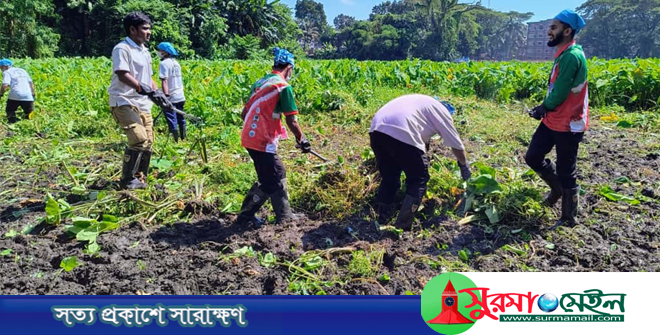 তারুণ্যের উৎসব উপলক্ষে সিলেটে পরিচ্ছন্নতা অভিযান শুরু