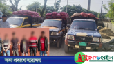 বটেশ্বর থেকে সাড়ে ১০ লাখ টাকার ভারতীয় পেঁয়াজের চালানসহ আটক ৬
