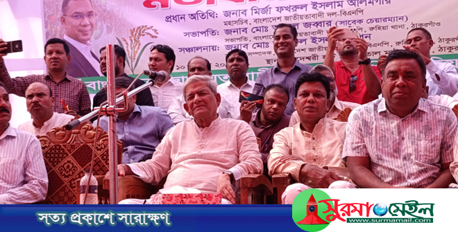 গণতন্ত্র ফিরিয়ে আনতে জনগণের সরকার প্রতিষ্ঠা করতে হবে: মির্জা ফখরুল
